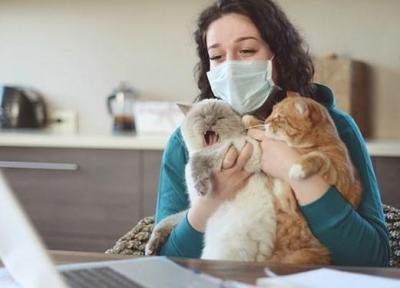 سازمان جهانی بهداشت: حیوانات خانگی ناقل ویروس کرونا نیستند